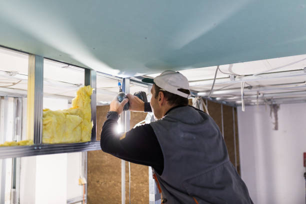 Best Spray Foam Insulation in Denmark, SC