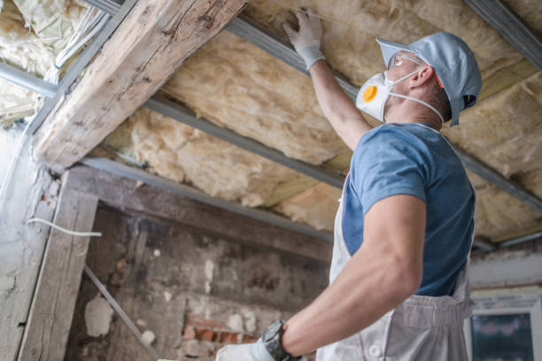 Best Energy Efficiency Insulation in Denmark, SC