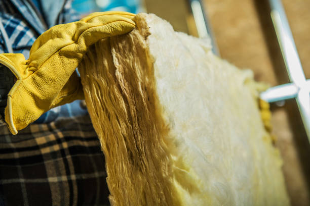Best Geographic-Specific Insulation Services in Denmark, SC